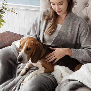 Reversible Comforter Blog-A Reversible Sherpa Comforter for Utmost Warmth in Winter